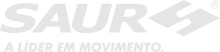 Saur