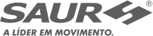 Saur